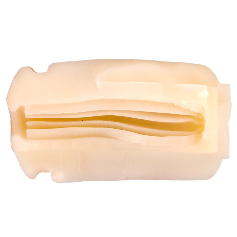 Rends Vorze A10 Cyclone Master Insert|Front View|"master design - front view"
