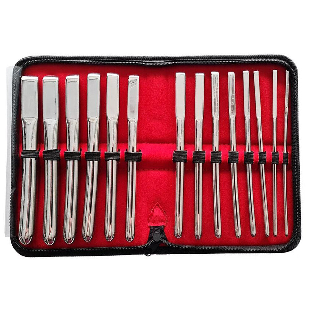 Rouge Garments Hegar 14 Piece Uterine Dilator Set|Front View|"complete dilator kit-front view adult toys direct"|