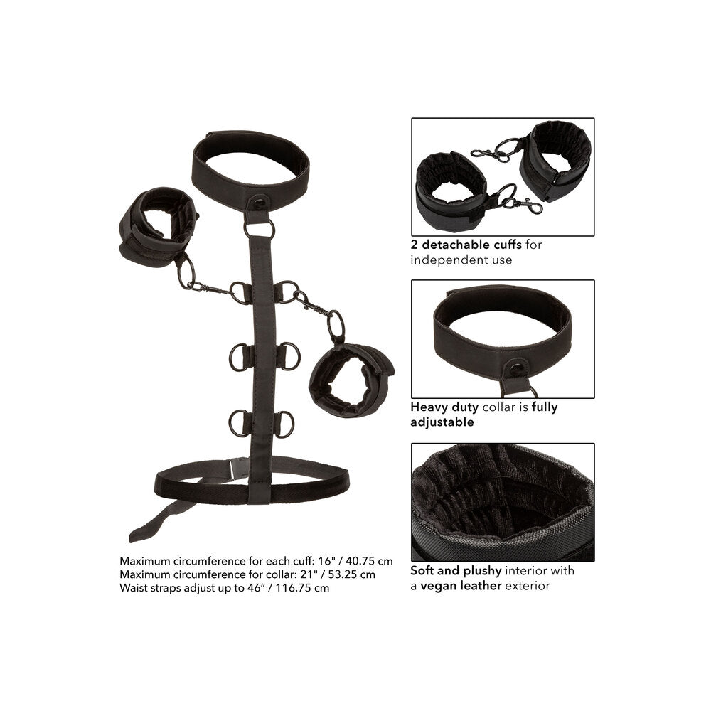 Boundless Collar Body Restraint|Back View|"restraint closure system-back view adult toys direct"|