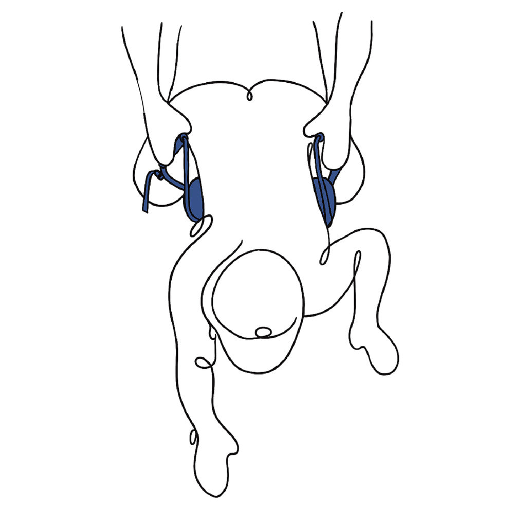 Sportsheets Pivot Deluxe Strap|Detail View|"deluxe features-detail view adult toys direct"|