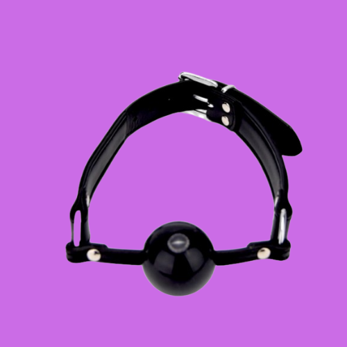 BDSM Gags & Bits | Bondage Mouth Restraints