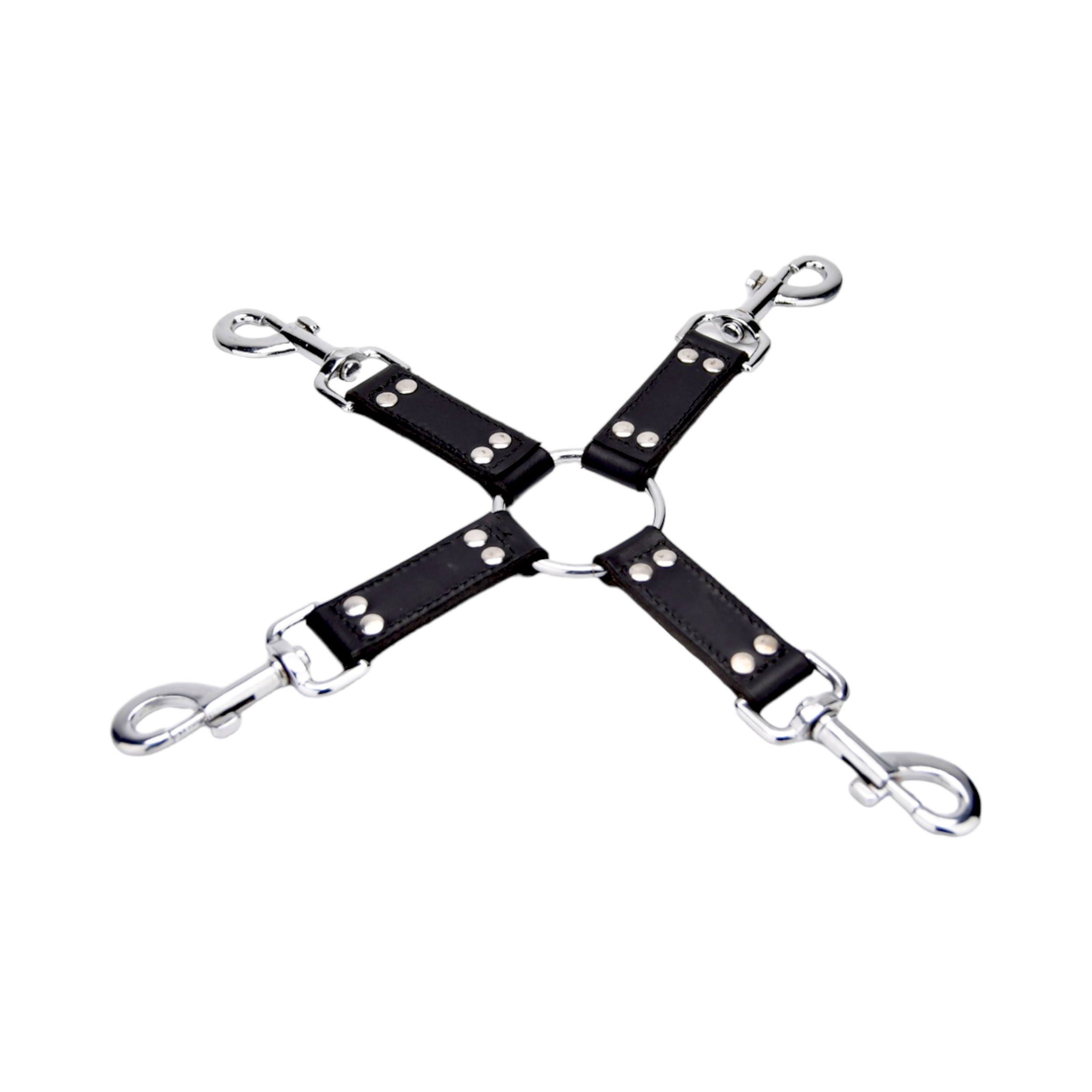 BOUND Leather Flogger|Front View|"leather flogger whip - front view"