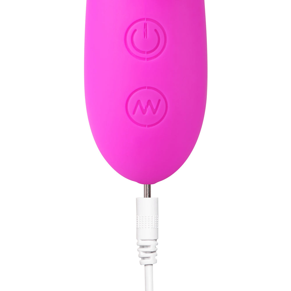 12 speed Rabbit Vibrator Pink|Control View|"Pink rabbit - controls"