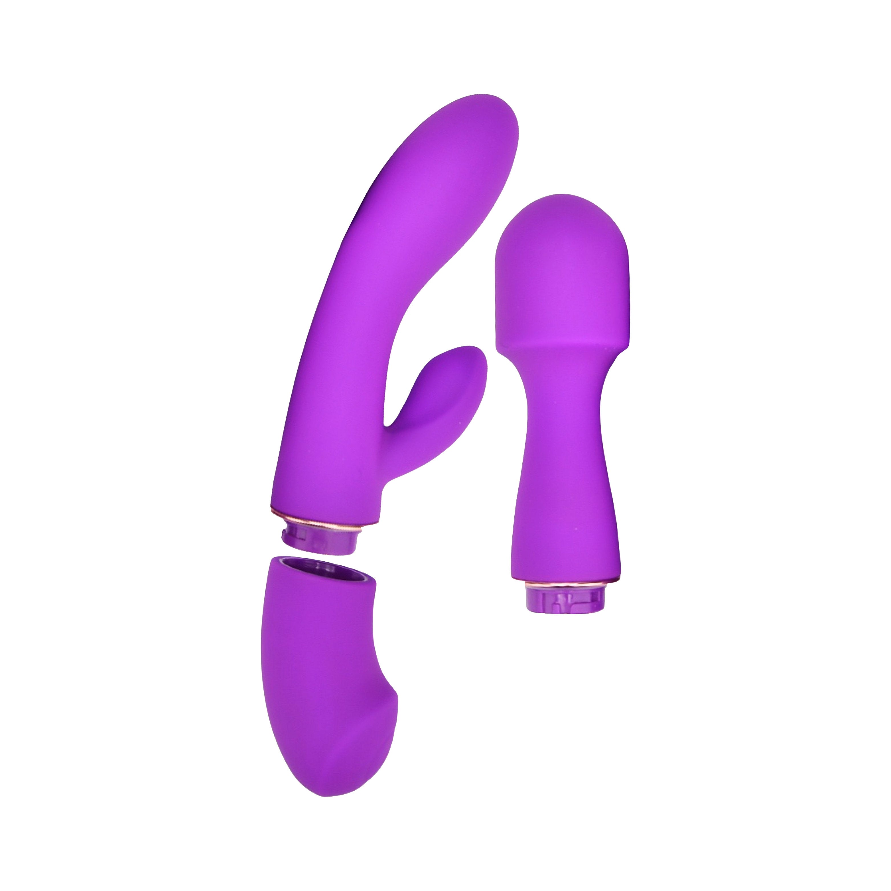Loving Joy DUA Interchangeable Vibrator | Set View | All attachments display