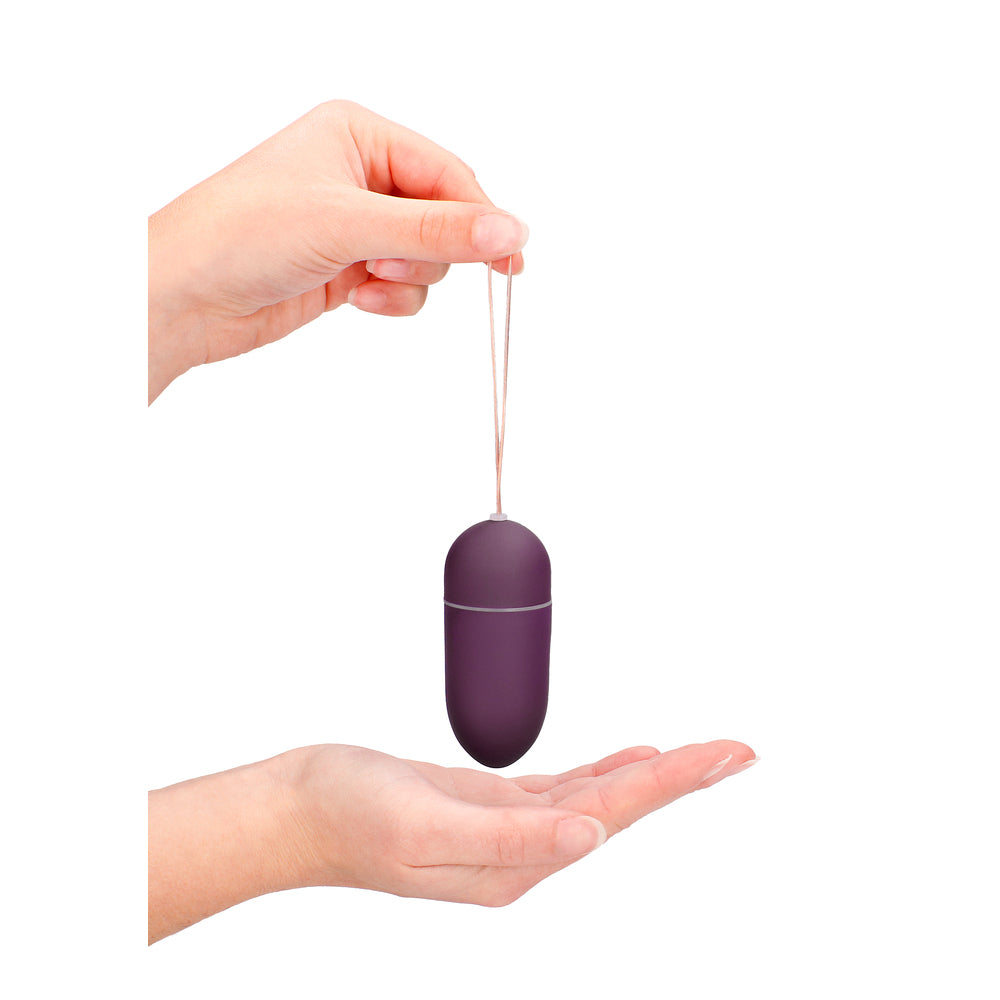 10 Speed Remote Vibrating Egg BIG Purple|Feature View|"Purple egg - features"