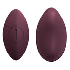 Loving Joy Flirt 7 Function Remote Controlled Wearable Clitoral Knicker Vibrator | Set View | Complete set contents