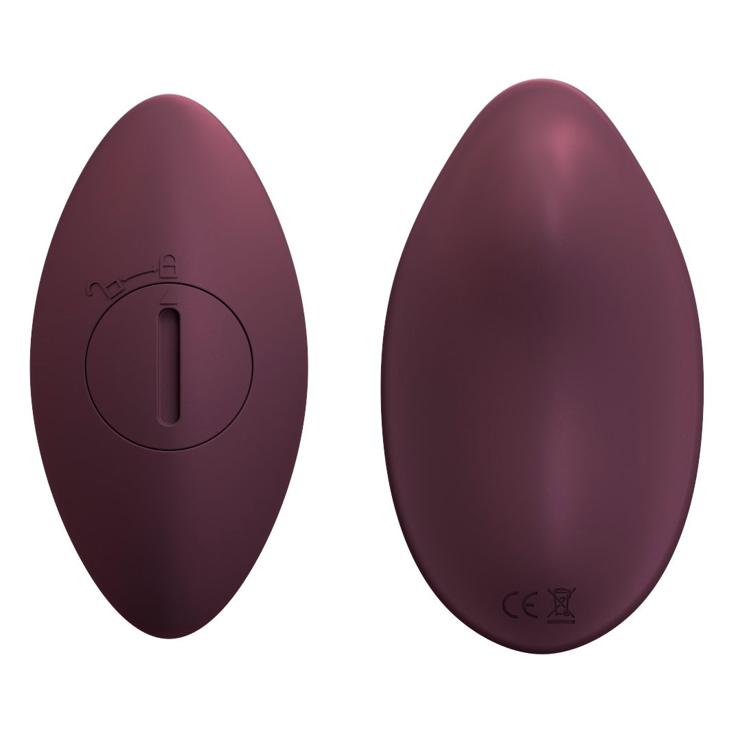 Loving Joy Flirt 7 Function Remote Controlled Wearable Clitoral Knicker Vibrator | Set View | Complete set contents