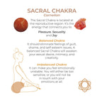 Adrien Lastic Harmony Stones Kegel Balls