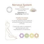 Adrien Lastic Harmony Stones Kegel Balls