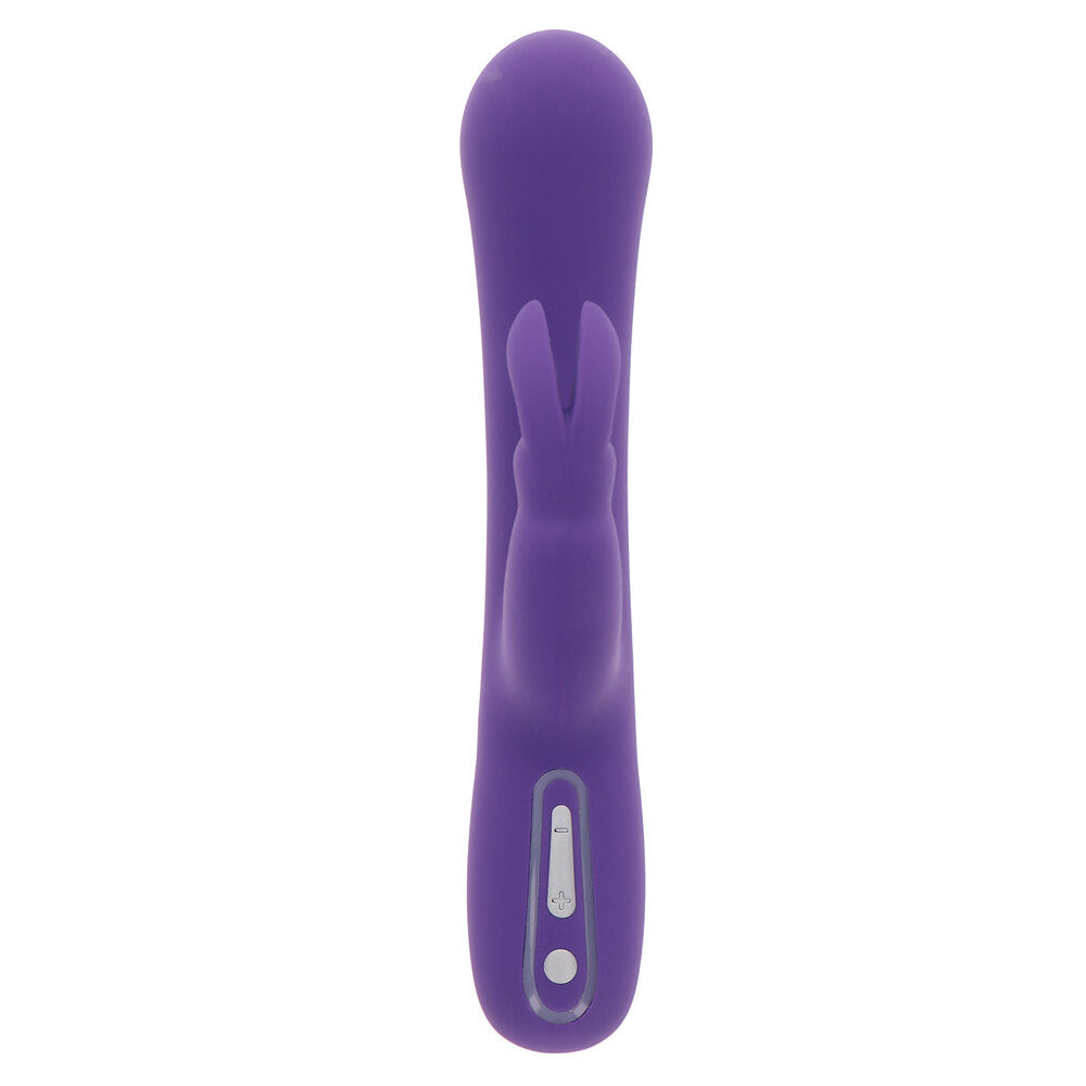ToyJoy-Love-Rabbit-Exciting-Rabbit-Vibrator|Detail View|"control features-detail view"