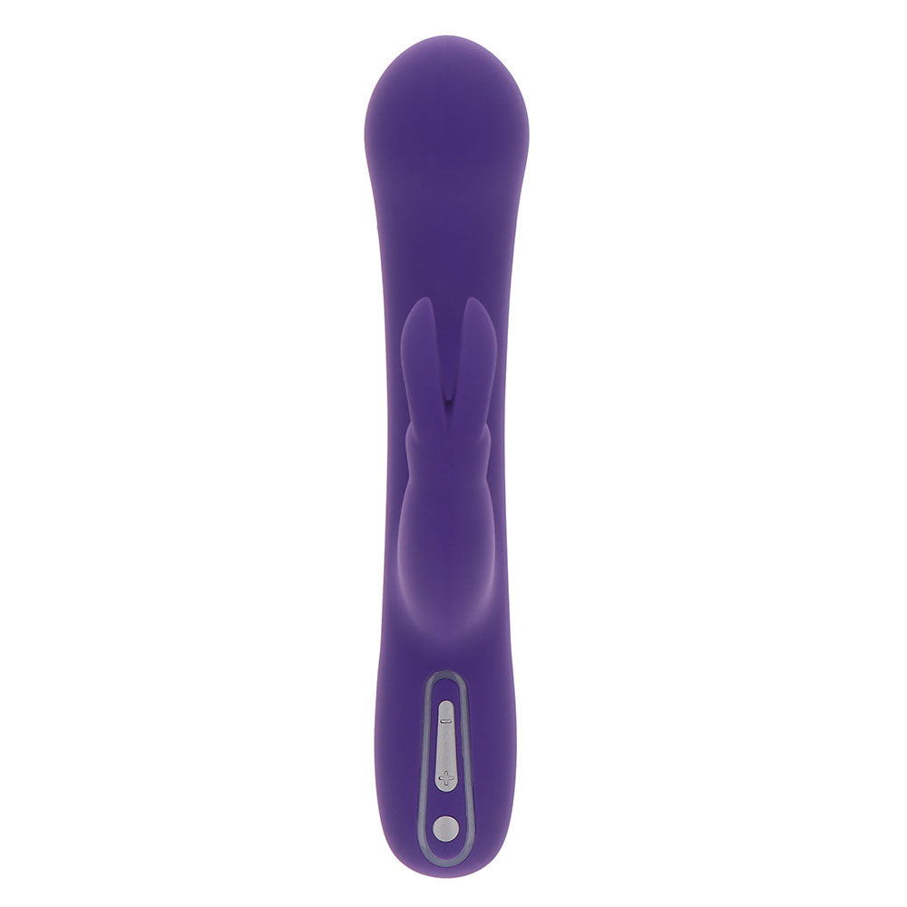 ToyJoy-Love-Rabbit-Triple-Pleasure-Vibrator|Detail View|"control features-detail view"