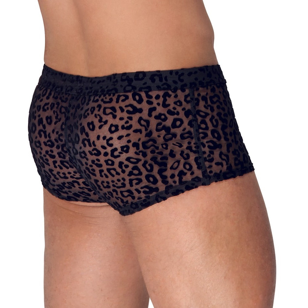 Noir Sheer Animal Print Pants|Side View|"animal print features-side view"|