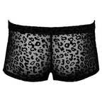 Noir Sheer Animal Print Pants|Set View|"complete pants set-set view"|