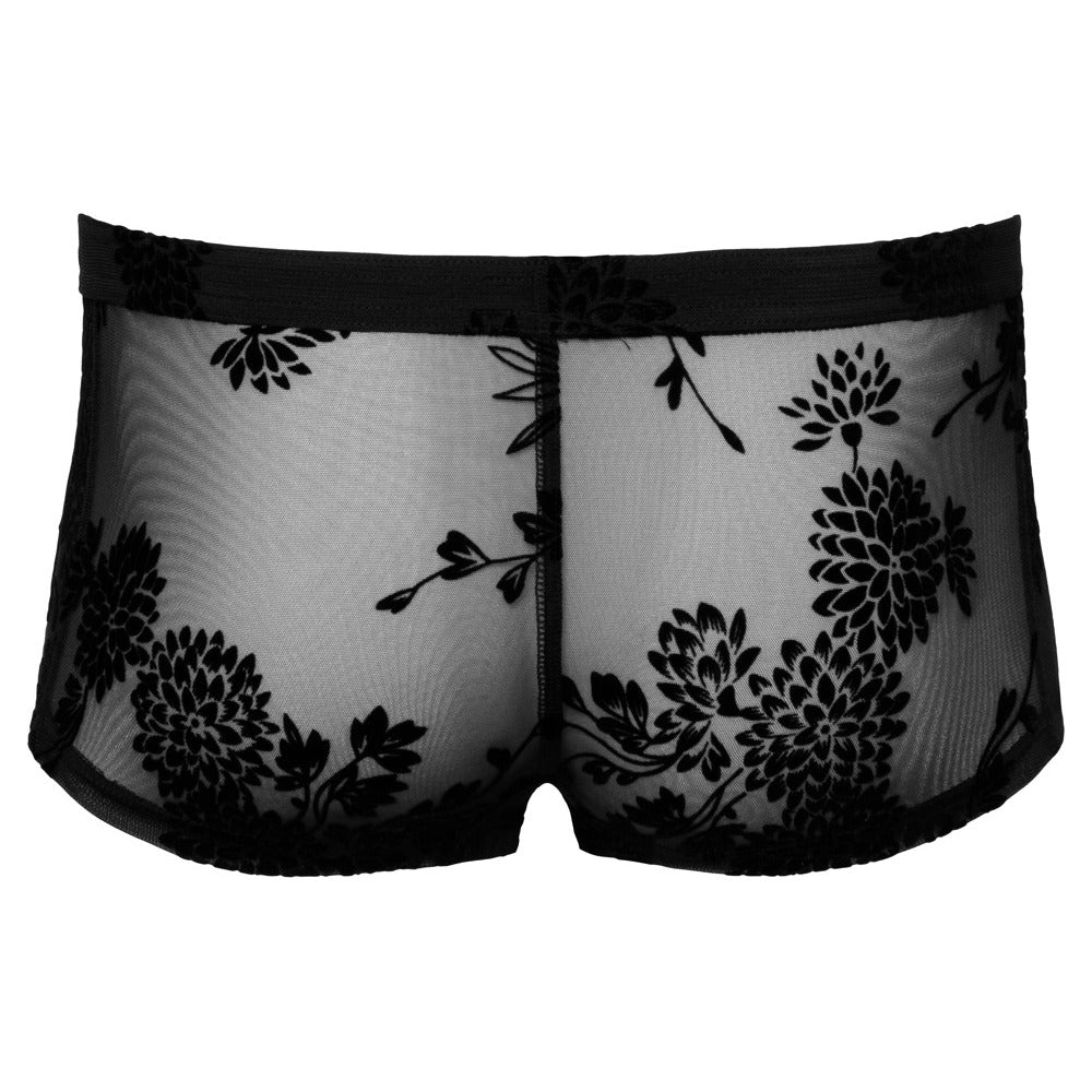 Noir Sheer Floral Lace Pants|Set View|"complete lace set-set view"|