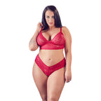 Cottelli Plus Size Red Lace Bra And Briefs|Front View|"plus size red lingerie set - front view"