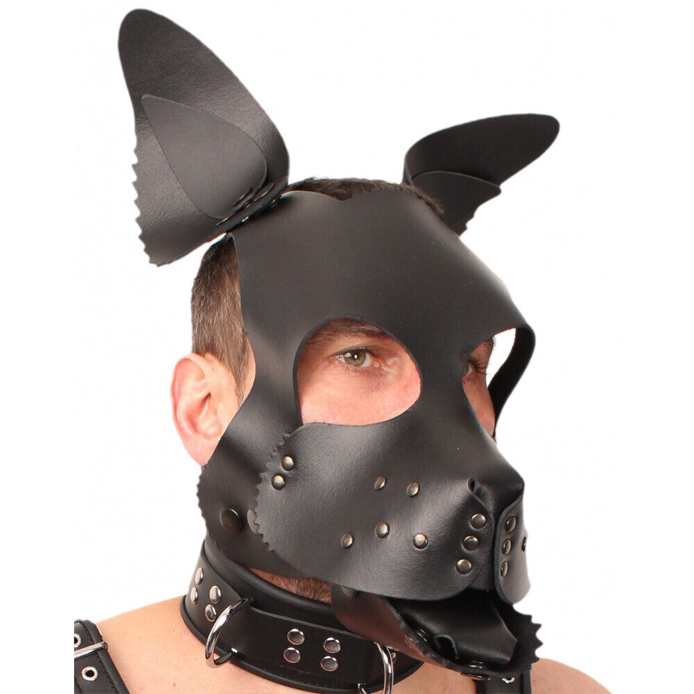 The Red Leather Puppy Dog Mask|Front View|"red puppy mask-front view adult toys direct"|