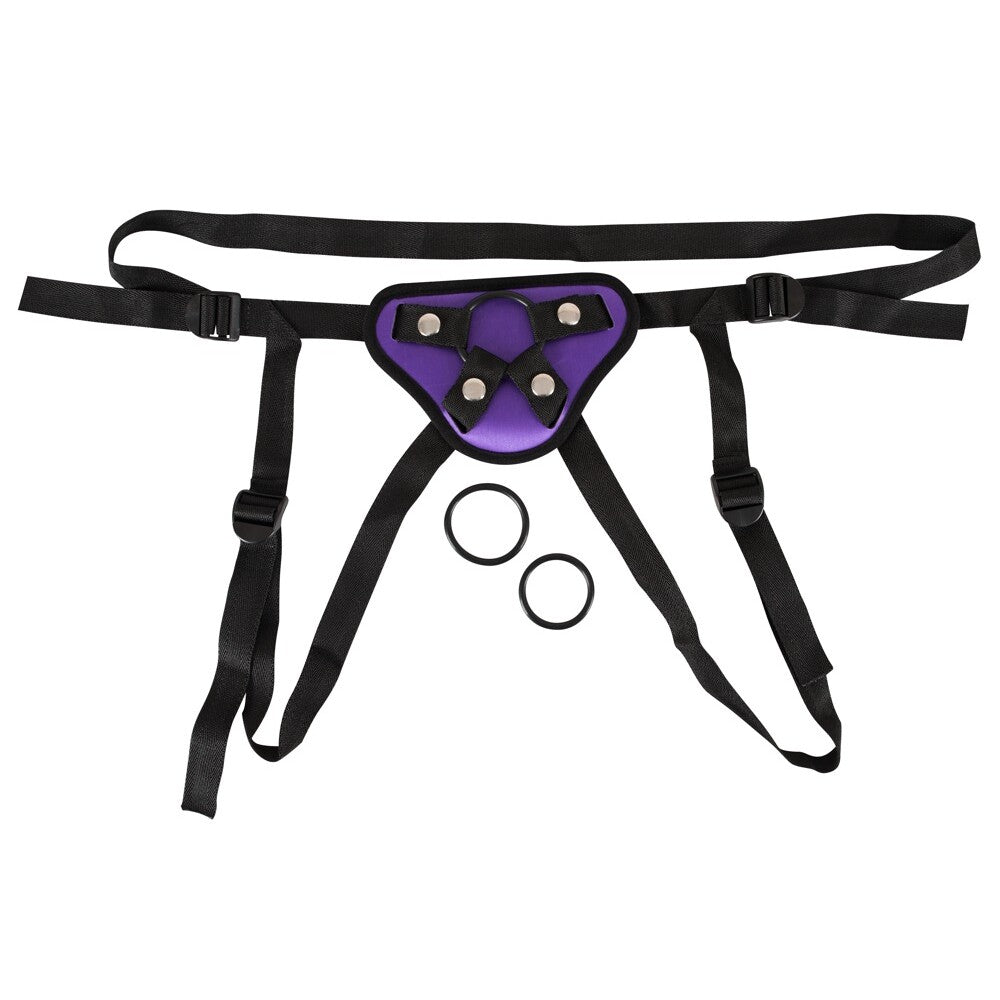 Purple And Black Universal Harness|Front View|"universal fit - front view"