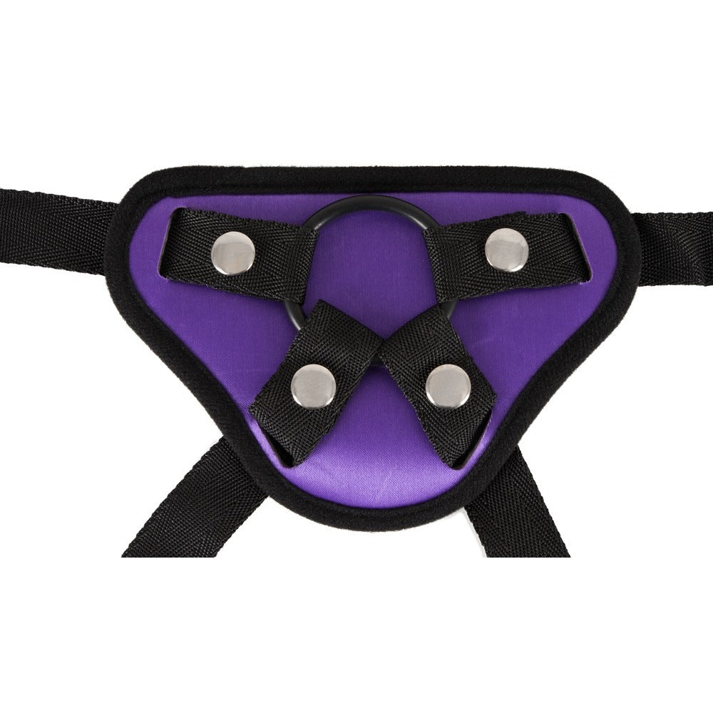 Purple And Black Universal Harness|Back View|"secure build - back view"
