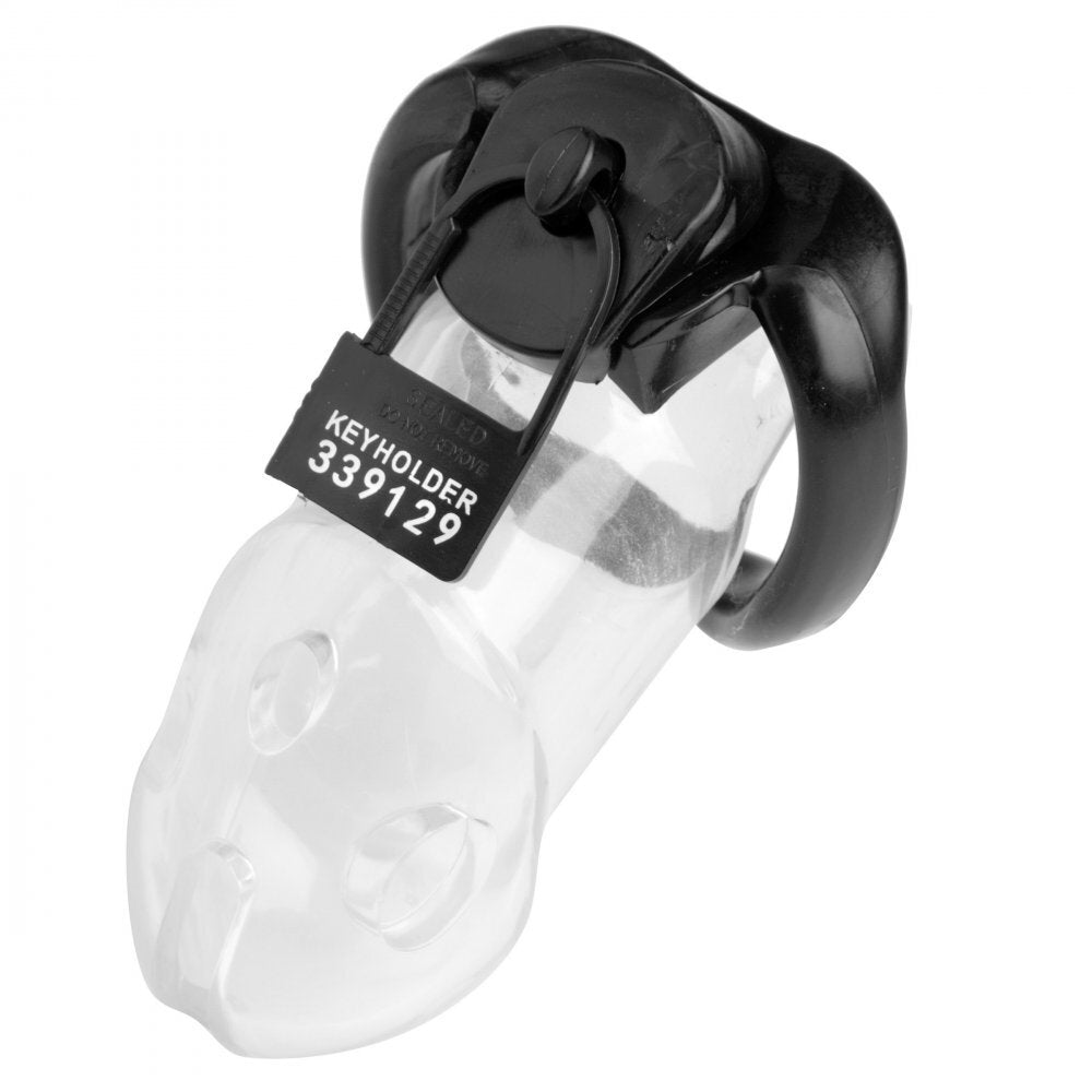 Master Series 10 Keyholder Numbered Plastic Chastity Locks|Back View|"numbering system-back view adult toys direct"|