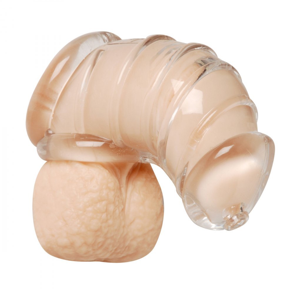 Master Series Detained Soft Body Chastity Cage|Back View|"lock mechanism-back view adult toys direct"|