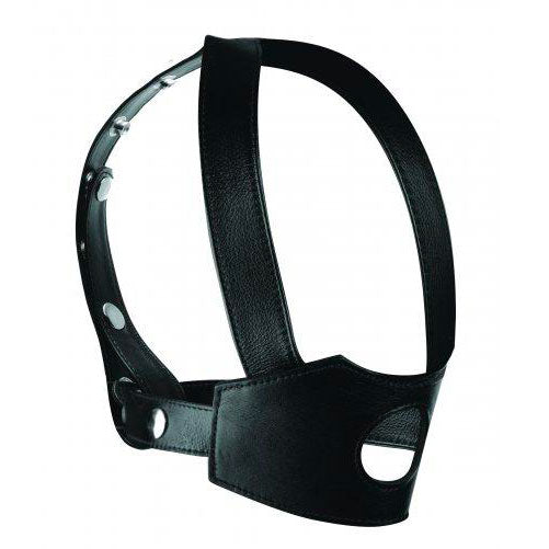 Master Series Face Harness|Front View|"face mount - front view"