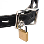 Master Series Musk Athletic Cup Muzzle|Detail View|"cup features-detail view"|