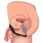 XR-Alpha-Pro-10X-P-Bomb-Cock-and-Ball-Ring-With-Anal-Plug|Detail View|"product features-detail view"