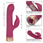 Jopen-Starstruck-Affair-Rabbit-Vibrator|Kit View|"complete pleasure set-kit view"
