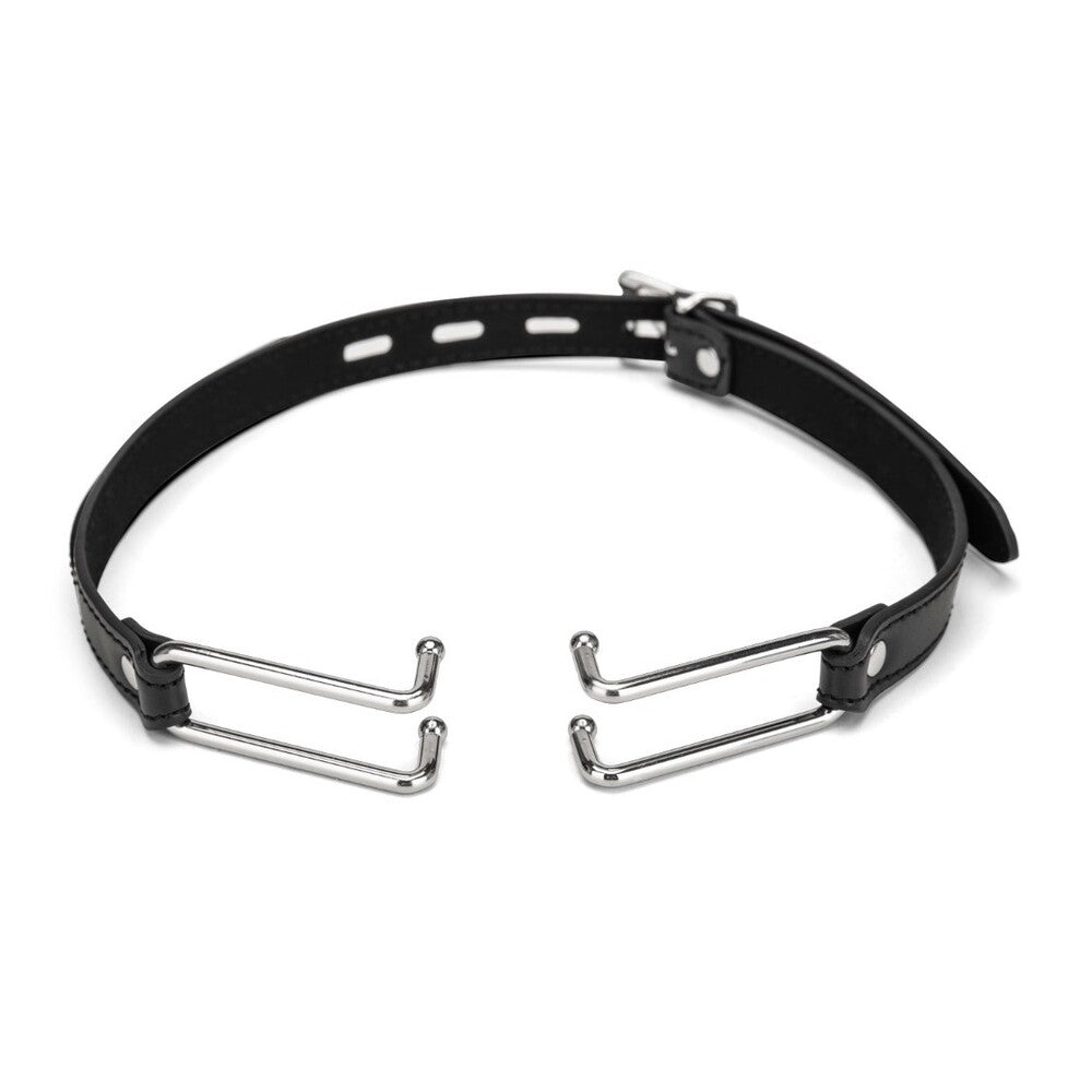 Me You Us Spider Stretch Gag 2|Front View|"stretch gag-front view"|