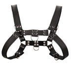 Ouch-Chest-Bulldog-Harness-Black-Large-to-Xlarge|Detail-View|"harness-buckle-detail-view"