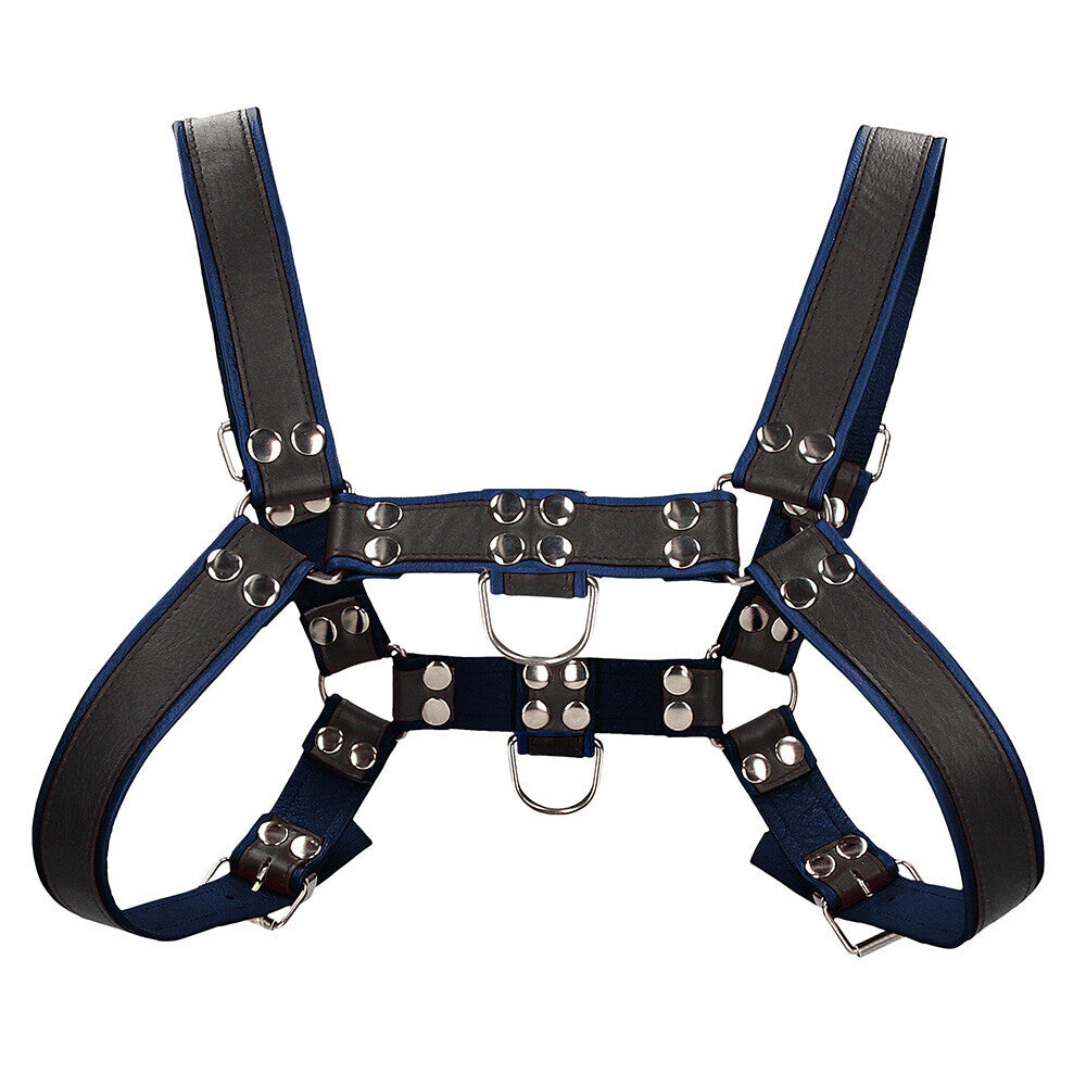 Ouch-Chest-Bulldog-Harness-Blue-Small-to-Medium|Detail-View|"harness-fitting-detail-view"