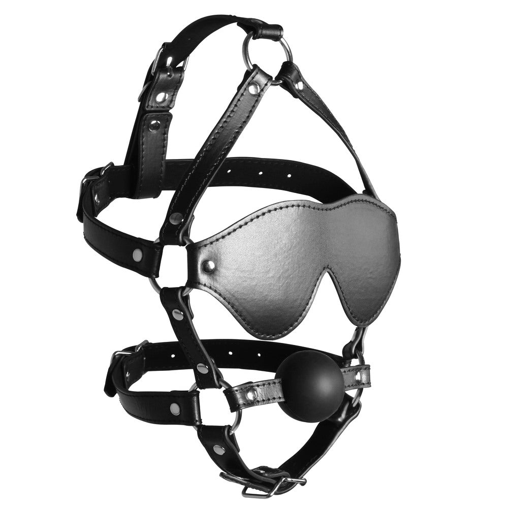 Ouch Xtreme Blindfolded Harness With Solid Ball Gag|Back View|"gag system-back view adult toys direct"|