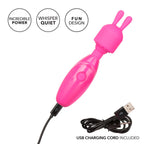 Tiny-Teasers-Rechargeable-Bunny-Vibrator|Detail View|"control features-detail view"