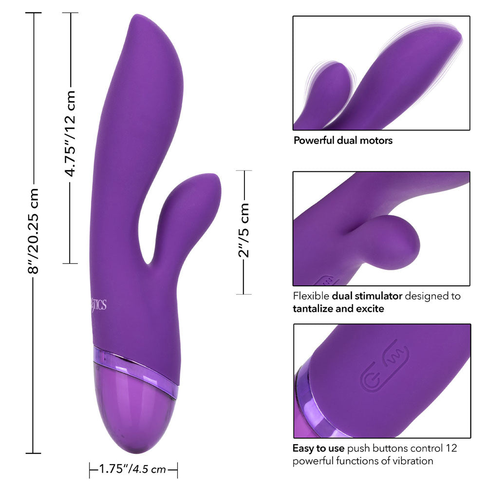 Aura Dual Lover Rechargeable Vibrator|Kit View|"Complete stimulation system - kit view"