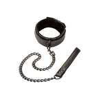 Boundless Collar and Leash|Front View|"boundless set-front view"|