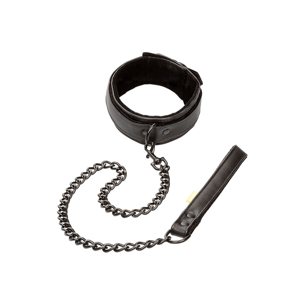 Boundless Collar and Leash|Front View|"boundless set-front view"|