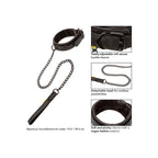 Boundless Collar and Leash|Set View|"complete set-set view"|