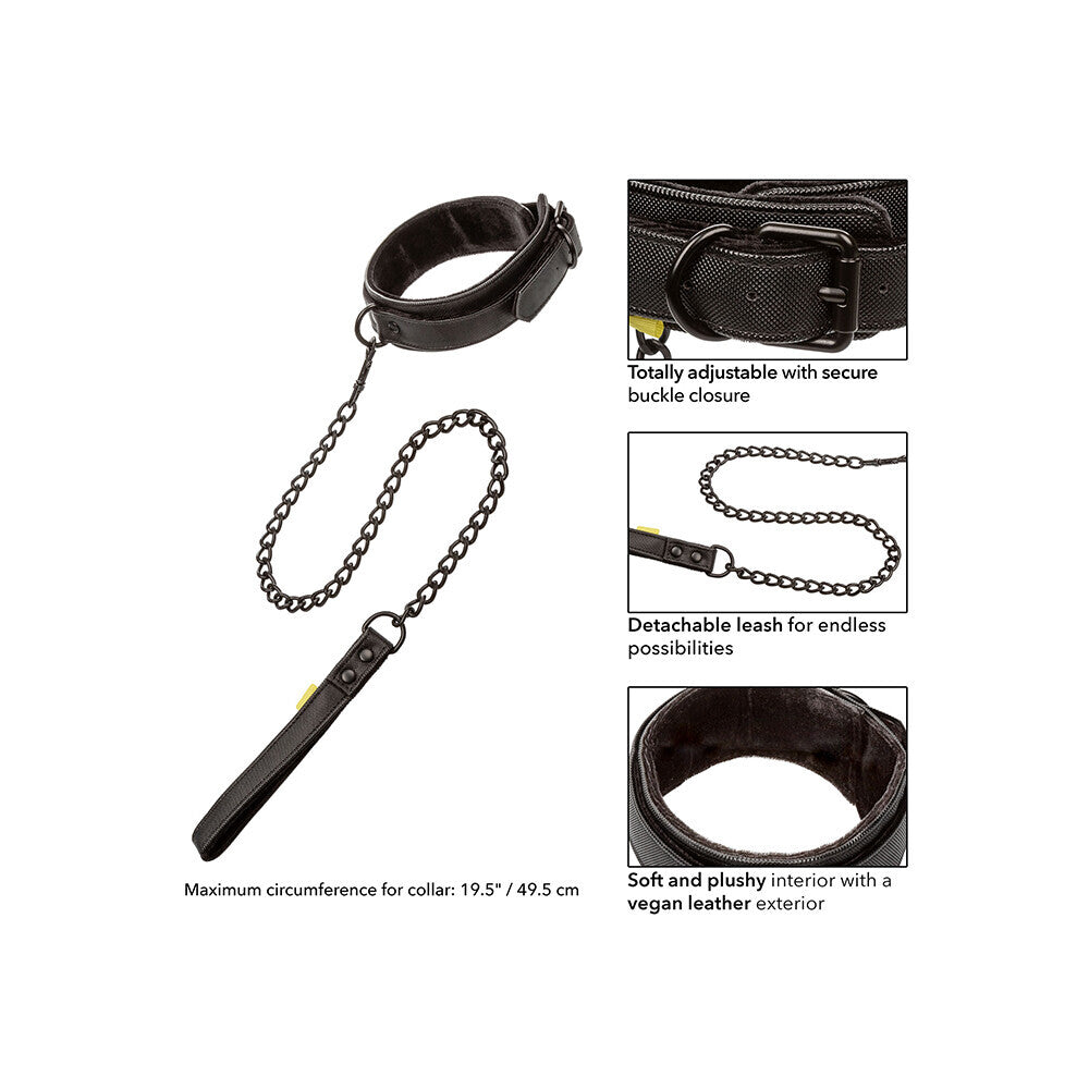 Boundless Collar and Leash|Set View|"complete set-set view"|