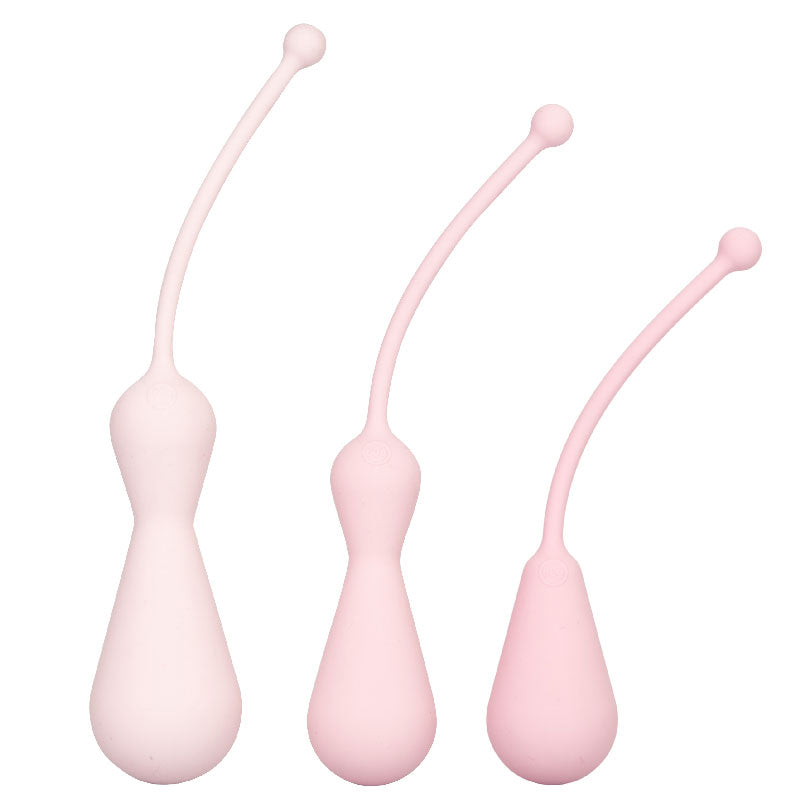 Inspire-Weighted-Silicone-Kegel-Training-Kit|Front View|"weighted training kit-front view"