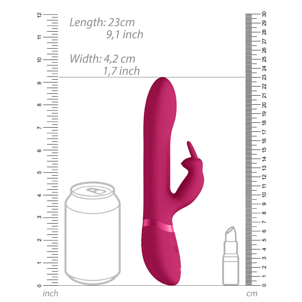 Vive-Amoris-Pink-Rabbit-Vibrator-With-Stimulating-Beads|Kit View|"complete pleasure set-kit view"