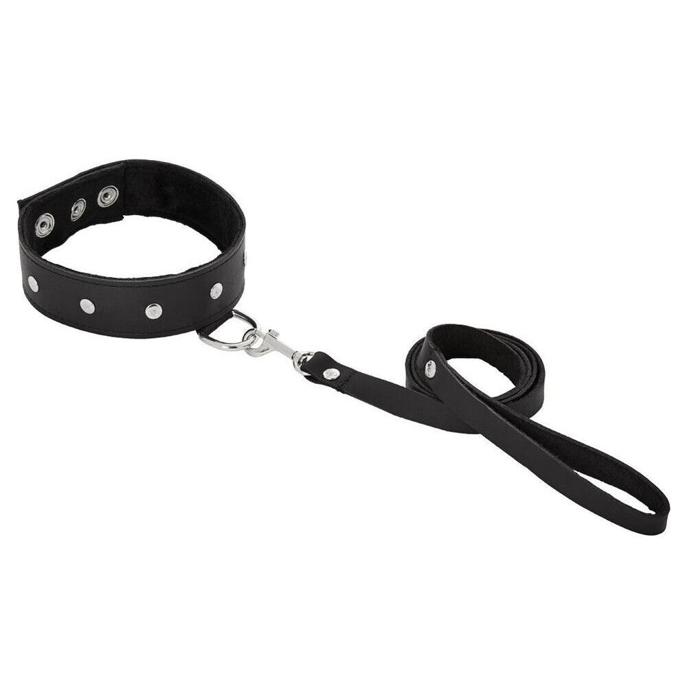 SportSheets Leather Leash And Collar|Front View|"leather set-front view"|